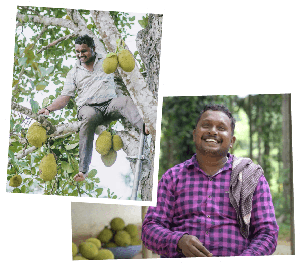 Jackfruit Farmers